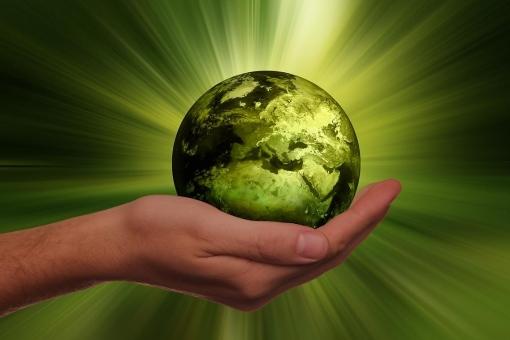 sostenibilita-1728382472741.jpg--_tribano__svolta_green_sulla_logistica__meno_cemento__piu_verde_e_200_nuovi_posti_di_lavoro.jpg