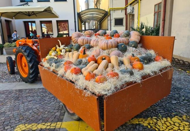 Festa-della-Zucca.jpg