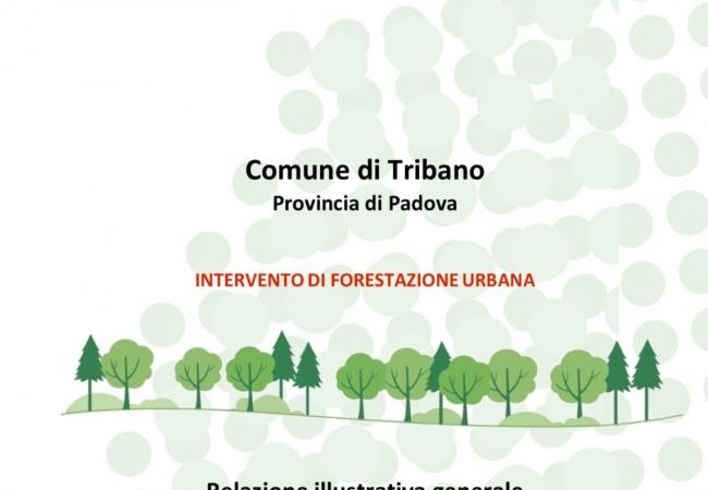 Frontespizio-relazione-illustrativa-generale-dell'intervento-di-forestazione-urbana.jpeg