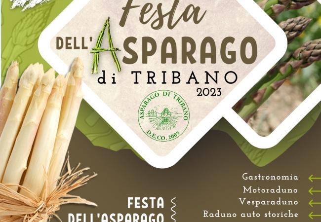 Tribano-Fronte-volantino-Festa-dell'Asparago-2023-2023.png