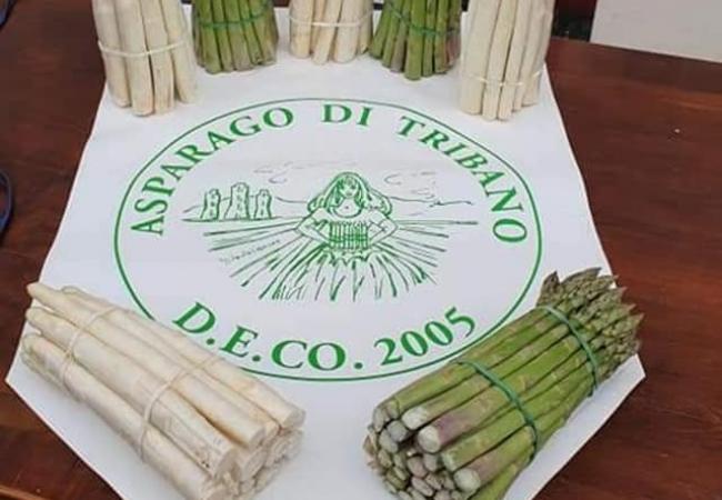 Tribano-Stemma-D.E.C.O.-e-asparagi-di-Tribano.jpg